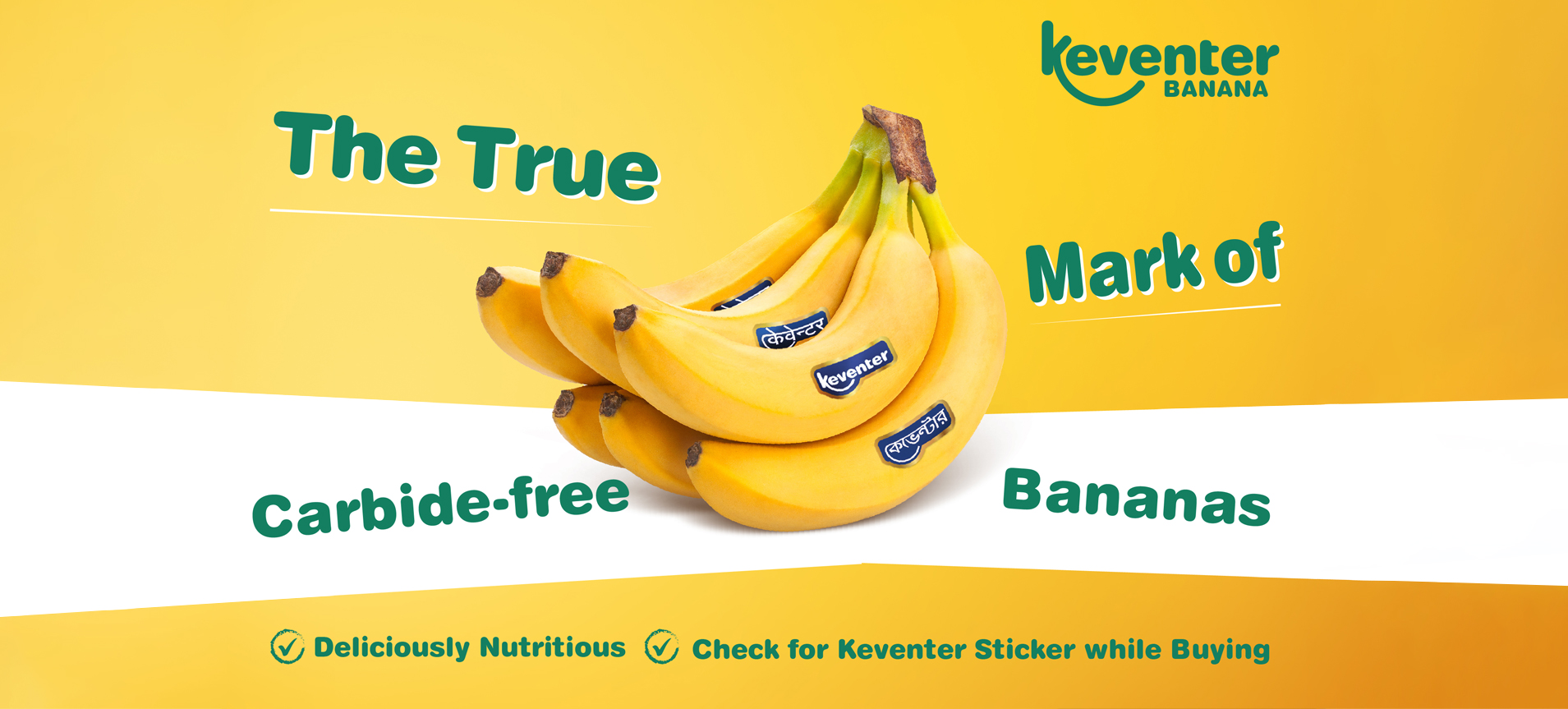 Banana banner image