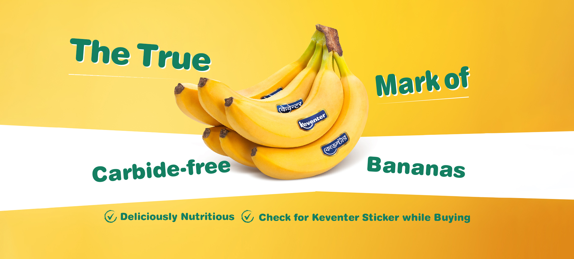 Banana banner