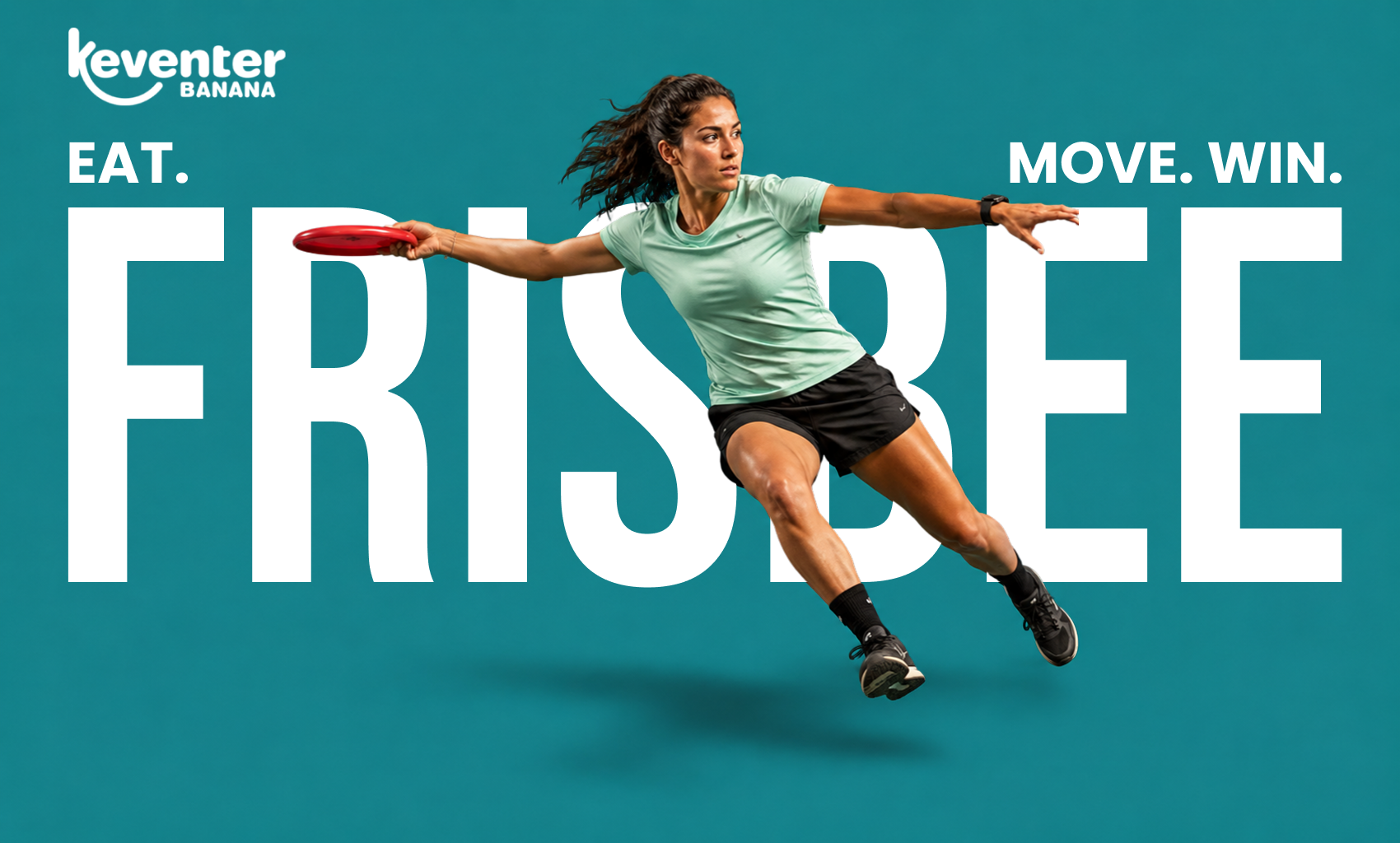 Frisbee Banner
